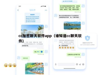 cc加密聊天软件app（谁知道cc聊天软件）