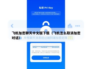 飞机加密聊天中文版下载（飞机怎么取消加密对话）