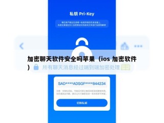 加密聊天软件安全吗苹果（ios 加密软件）
