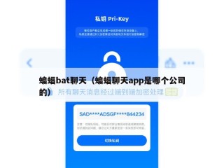 蝙蝠bat聊天（蝙蝠聊天app是哪个公司的）