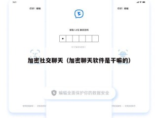 加密社交聊天（加密聊天软件是干嘛的）