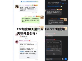 tfx加密聊天是什么（secret加密聊天软件怎么样）