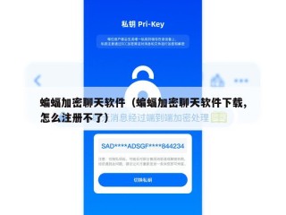 蝙蝠加密聊天软件（蝙蝠加密聊天软件下载,怎么注册不了）