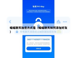 蝙蝠聊天加密方式是（蝙蝠聊天如何添加好友）