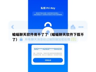 蝙蝠聊天软件用不了了（蝙蝠聊天软件下载不了）