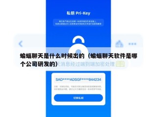 蝙蝠聊天是什么时候出的（蝙蝠聊天软件是哪个公司研发的）