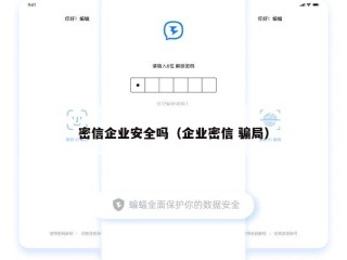 密信企业安全吗（企业密信 骗局）