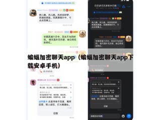 蝙蝠加密聊天app（蝙蝠加密聊天app下载安卓手机）