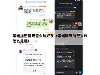 蝙蝠加密聊天怎么加好友（蝙蝠聊天加密失败怎么处理）
