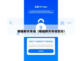 蝙蝠聊天等级（蝙蝠聊天等级划分）
