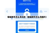 蝙蝠聊天怎么发动态（蝙蝠聊天怎么发图片）