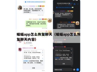 蝙蝠app怎么恢复聊天（蝙蝠app怎么恢复聊天内容）