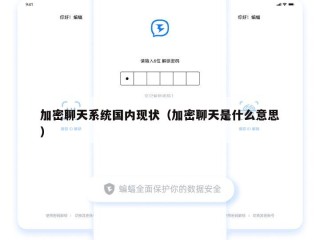 加密聊天系统国内现状（加密聊天是什么意思）