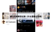 雁过无痕聊天记录（什么是雁过无痕）