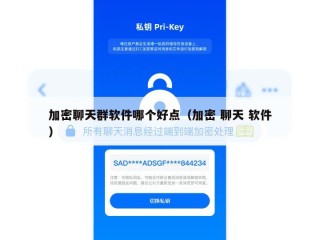 加密聊天群软件哪个好点（加密 聊天 软件）