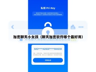 加密聊天小女孩（聊天加密软件哪个最好用）
