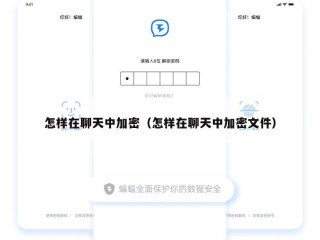 怎样在聊天中加密（怎样在聊天中加密文件）