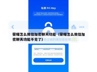 荣耀怎么微信加密聊天功能（荣耀怎么微信加密聊天功能不见了）