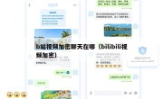 b站视频加密聊天在哪（bilibili视频加密）
