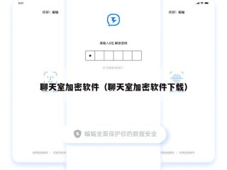 聊天室加密软件（聊天室加密软件下载）