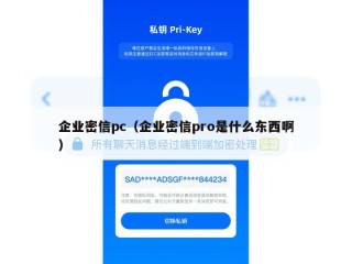 企业密信pc（企业密信pro是什么东西啊）
