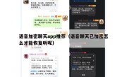 语音加密聊天app推荐（语音聊天已加密怎么才能恢复听呢）