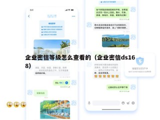 企业密信等级怎么查看的（企业密信ds168）
