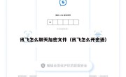 讯飞怎么聊天加密文件（讯飞怎么开密语）