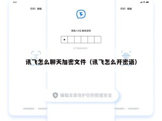 讯飞怎么聊天加密文件（讯飞怎么开密语）
