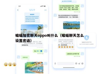 蝙蝠加密聊天oppo叫什么（蝙蝠聊天怎么设置密语）