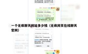 一个无痕聊天网站多少钱（无痕网页在线聊天官网）