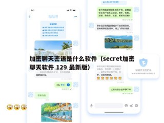 加密聊天密语是什么软件（secret加密聊天软件 129 最新版）