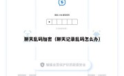 聊天乱码加密（聊天记录乱码怎么办）