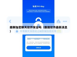 鼎聊加密聊天软件安全吗（鼎捷软件最新消息）