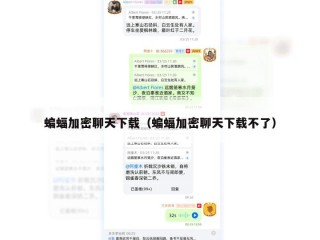 蝙蝠加密聊天下载（蝙蝠加密聊天下载不了）