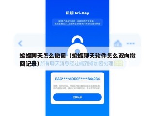 蝙蝠聊天怎么撤回（蝙蝠聊天软件怎么双向撤回记录）
