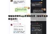 蝙蝠加密聊天app苹果版免费（蝙蝠苹果版聊天软件）
