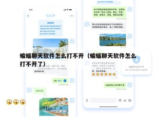 蝙蝠聊天软件怎么打不开（蝙蝠聊天软件怎么打不开了）