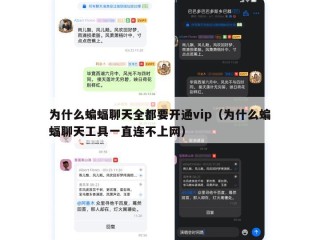 为什么蝙蝠聊天全都要开通vip（为什么蝙蝠聊天工具一直连不上网）