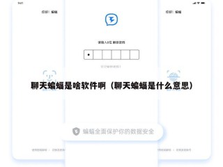 聊天蝙蝠是啥软件啊（聊天蝙蝠是什么意思）